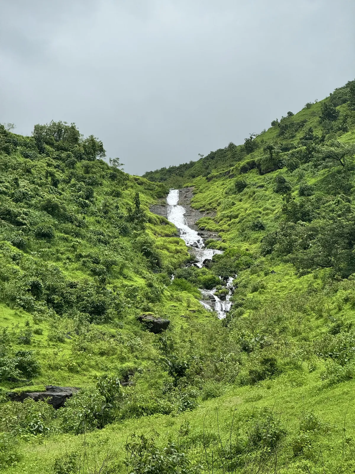 Lakeside Monsoon Trail