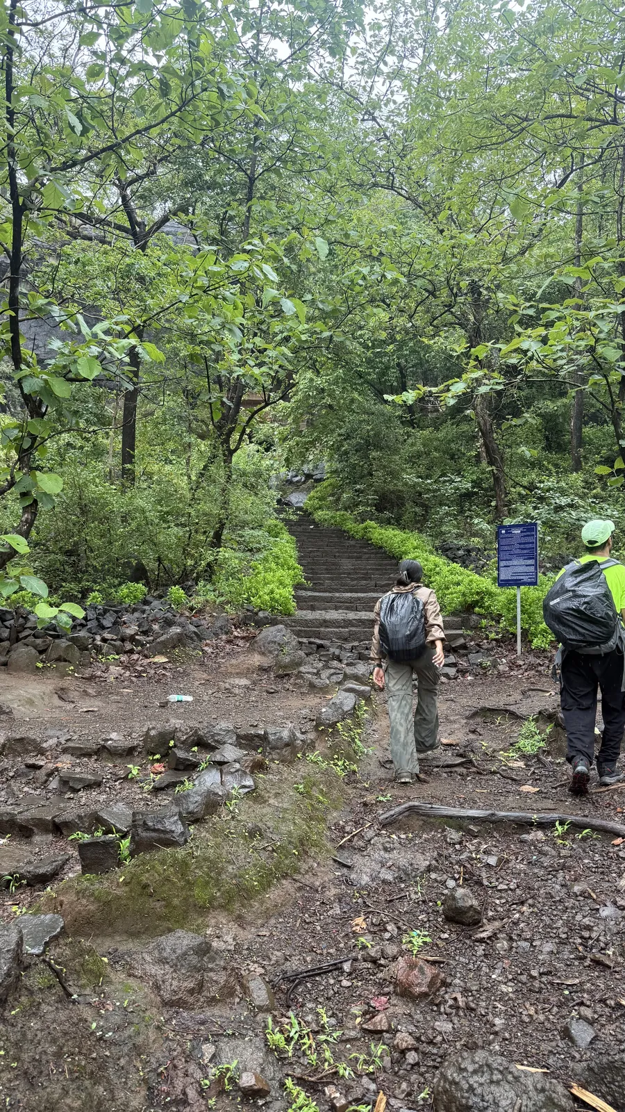 Steps to the caves