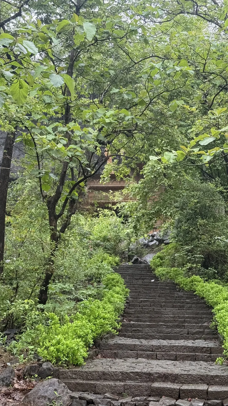 Steps through scenic views