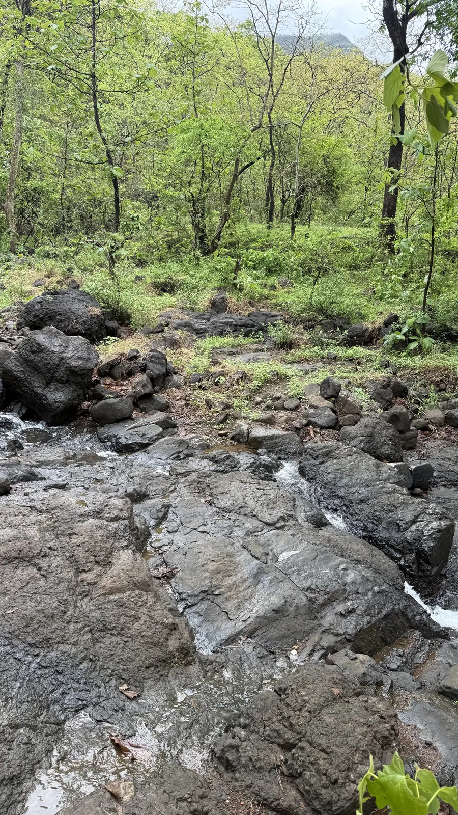 River trails